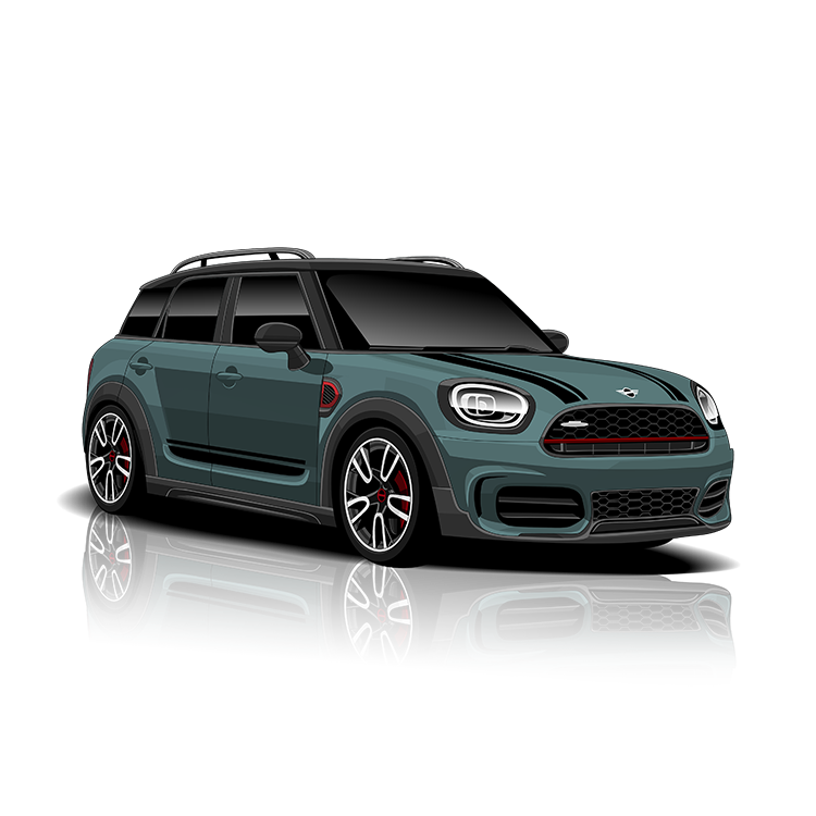 Mini Countryman (F60) Exhaust Controller