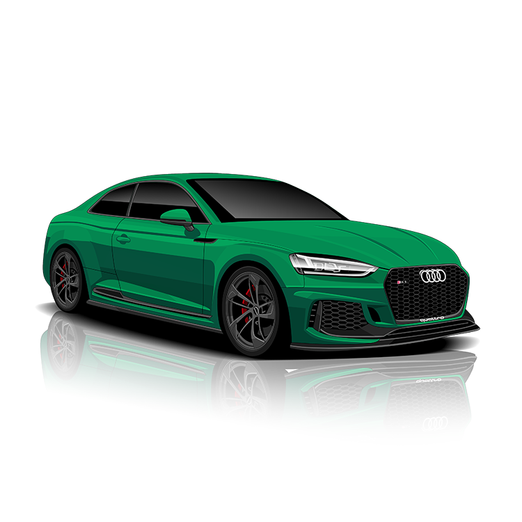 Audi RS5 (B9) Exhaust Controller