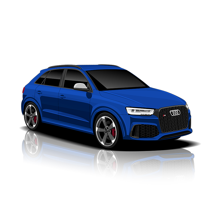 Audi RSQ3 (8U) Exhaust Controller