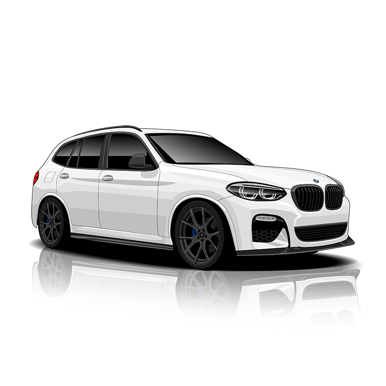 BMW X3 (G01) Exhaust Controller