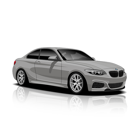 BMW 2 Series (F22 / F23) Exhaust Controller