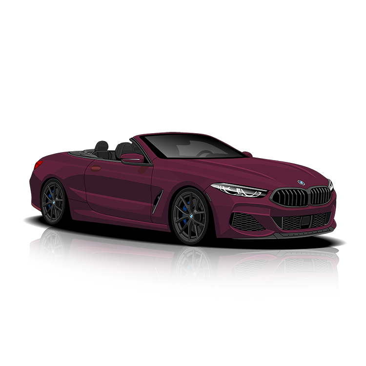 BMW 8 Series M850i (G14 / G15 / G16) Exhaust Controller