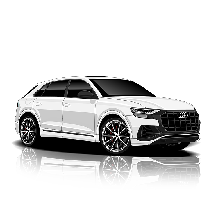 Audi Q8 55 (4M) Exhaust Controller