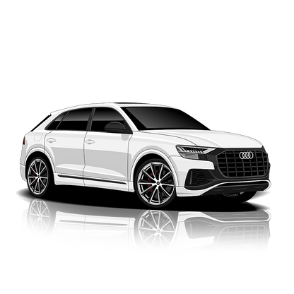Audi Q8 55 (4M) Exhaust Controller