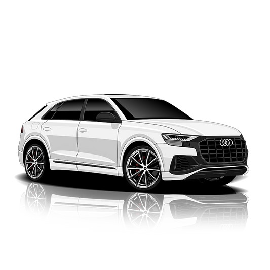 Audi Q8 55 (4M) Exhaust Controller