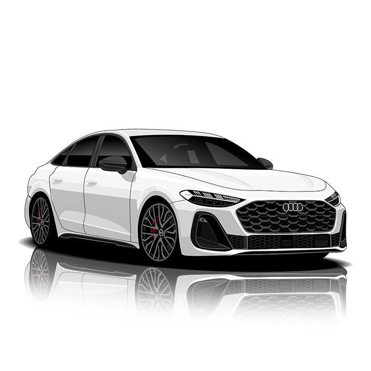 Audi S5 (B10) Exhaust Controller