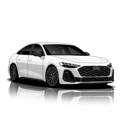 Audi S5 (B10) Exhaust Controller