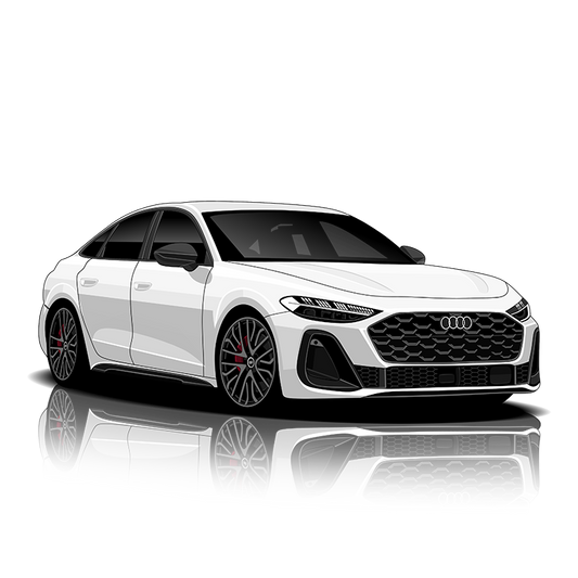 Audi S5 (B10) Exhaust Controller