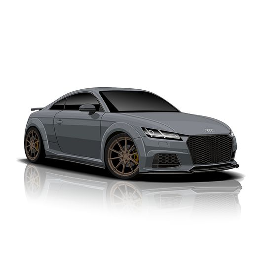 Audi TTS (8S)