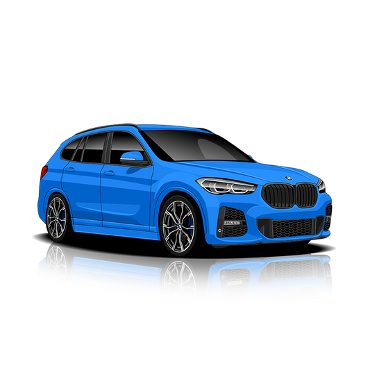 BMW X1 (F48) Exhaust Controller