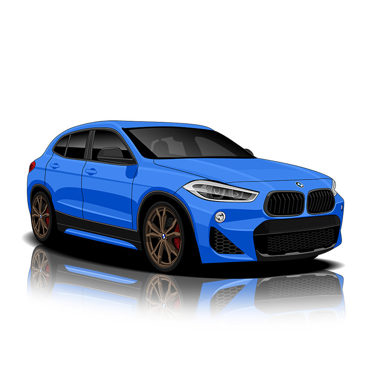 BMW X2 (F39) Exhaust Controller