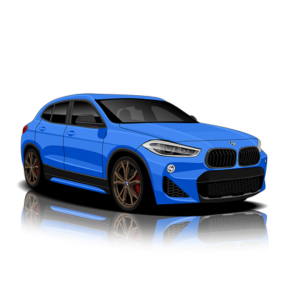 BMW X2 (F39) Exhaust Controller