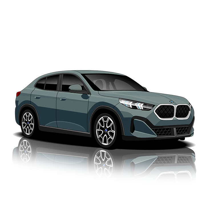 BMW X2 (U10) Exhaust Controller