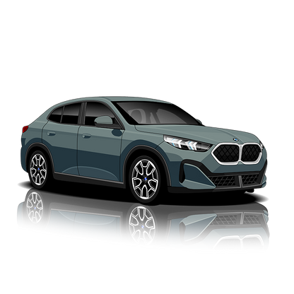 BMW X2 (U10) Exhaust Controller