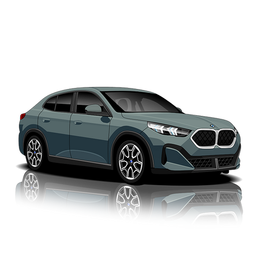 BMW X2 (U10) Exhaust Controller