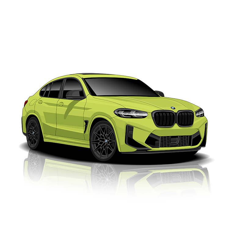 BMW X4 M (F98) Exhaust Controller
