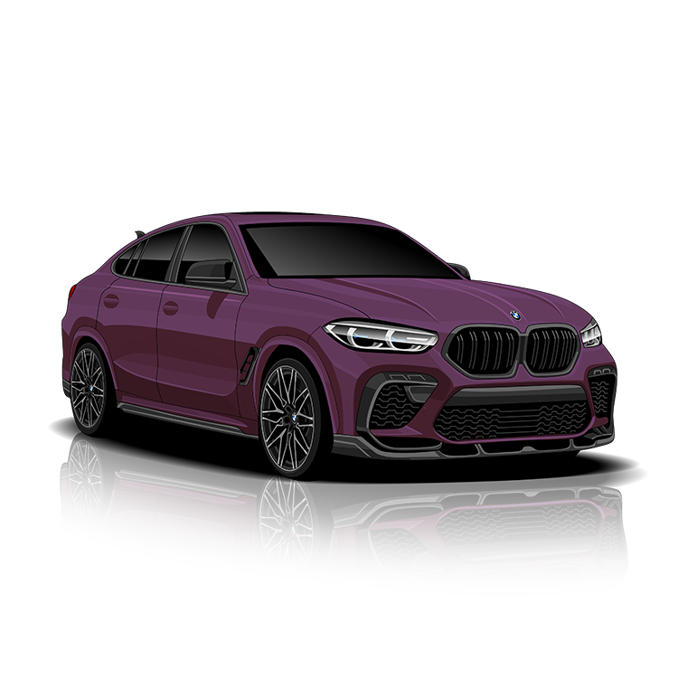 BMW X6 M (F96) Exhaust Controller